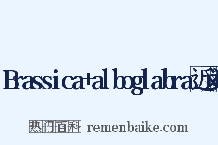 Brassica+alboglabra近义词是什么意思的图片